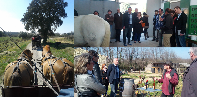 Club UPDG - Haras d&#039;Uzès