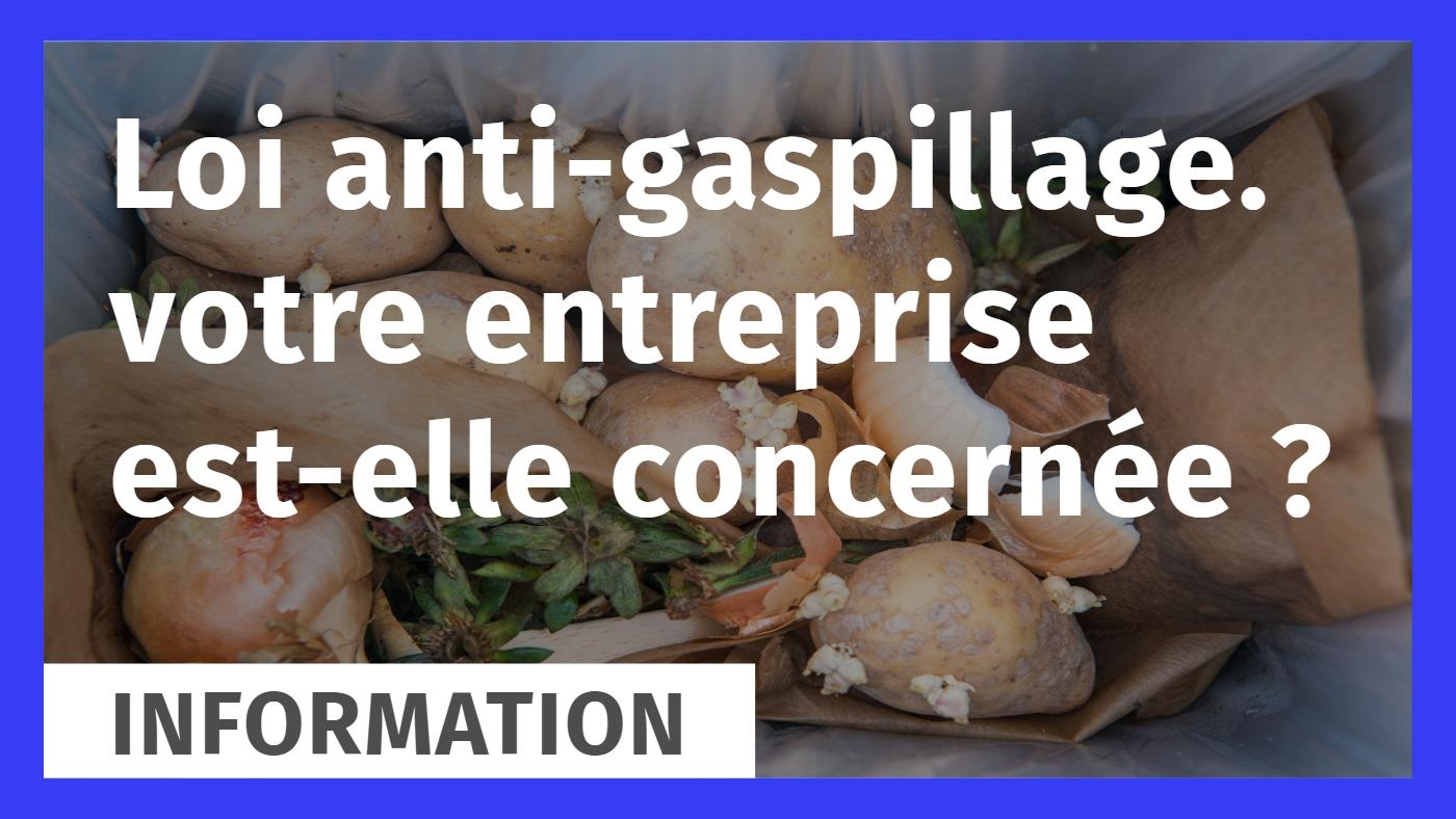 Loi anti gaspi