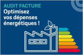 Audit Facture