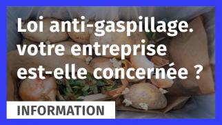 Loi anti gaspi